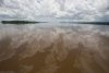 Le fleuve Corentyne au Guyana
