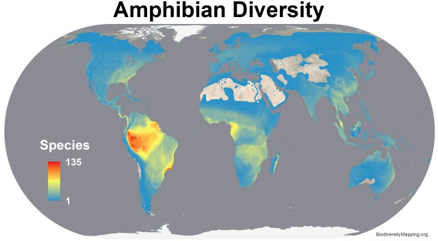Carte de la diversité des amphibiens. Source Union Internationale pour la Conservation de la Nature. 