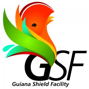 GSF Logo (Portrait)