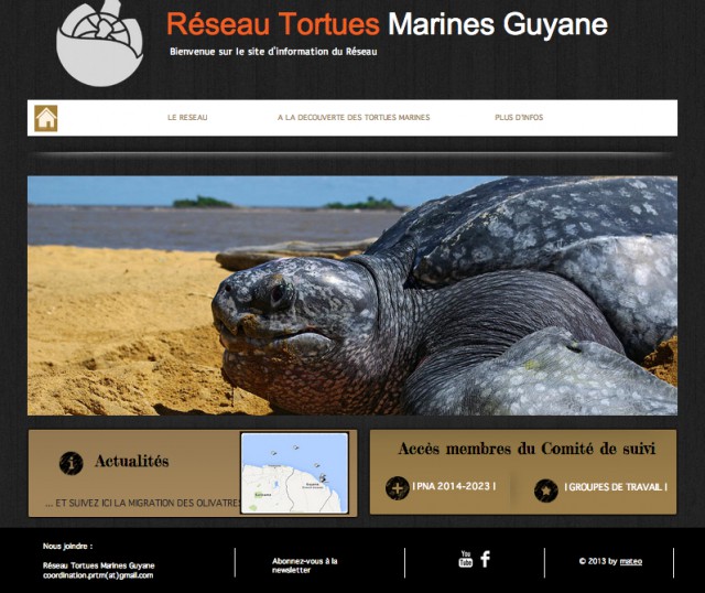 site tortues