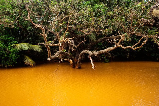 Nouvelle Caledonia, Yate, jeudi 8 mai 2021. Embouchure de la riviere Truu a goro. Apres les fortes pluies, la truu deverse des sediments ocres dans le lagon. Photographie de Theo Rouby