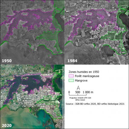  Évolution des zones humides de Jarry entre 1950 et 2020