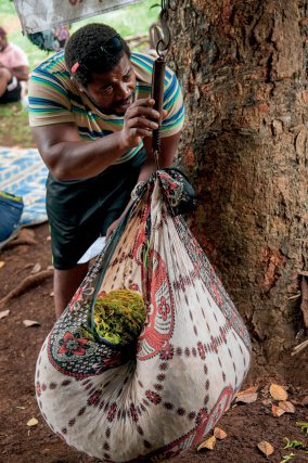 Plantation d'Ylan-Ylang à Combani à Mayotte / Pesée de la récolte de chaque cueilleuse