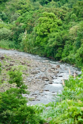 Rivière en cœur de Parc national où la flore et la faune sont préservées