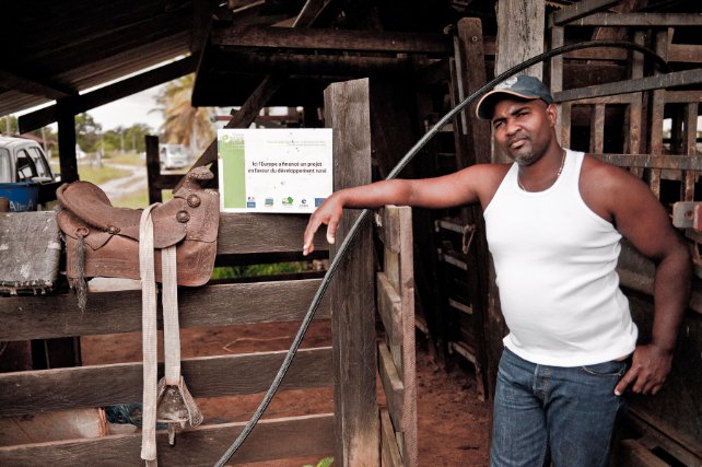Exemples de projets financés par les fonds européens en Guyane.  exploitation agricole et élevage à Macouria, 