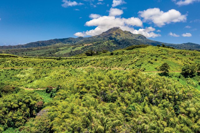 La montagne Pelée. Martinique