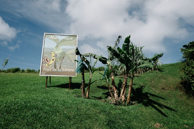 Panneau près d une plantation de banane dans le nord de la Martinique.