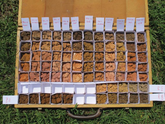 Échantillons de sols de Guyane. 