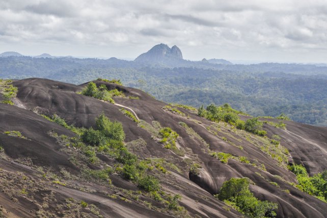 vue du Pic Coudreau depuis le massif de Mitaraka.
