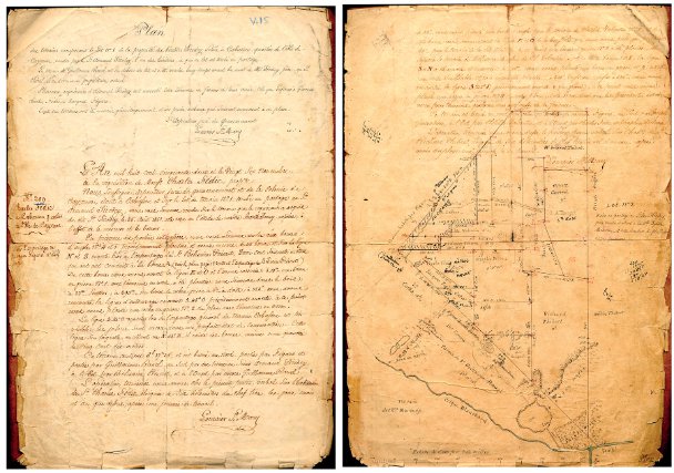 Plan de 1852 par Louvrier St Mary — Plan des terrains composant le lot n° 1 de la propriété des héritiers Siredey située à Cabassou…