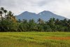 Monts autour de Tongar (Indonésie - Sumatra - Région de Pasaman) en 2009. 