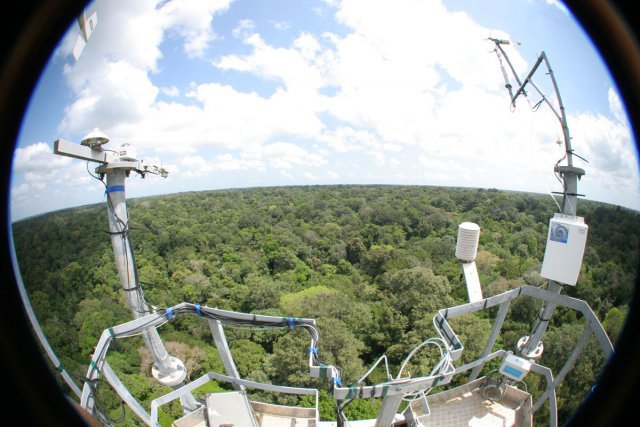 Vue des capteurs au sommet de la tour de mesure de Guyaflux.