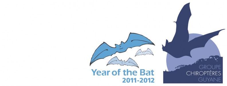 year of the bat - une saison en guyane