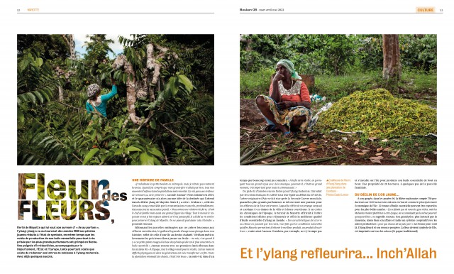 Mayotte, la culture de l'Ylang Ylang