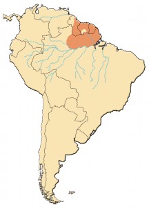 Carte de répartition de l'atèle noir (tirée de l'ouvrage "primates de Guyane")