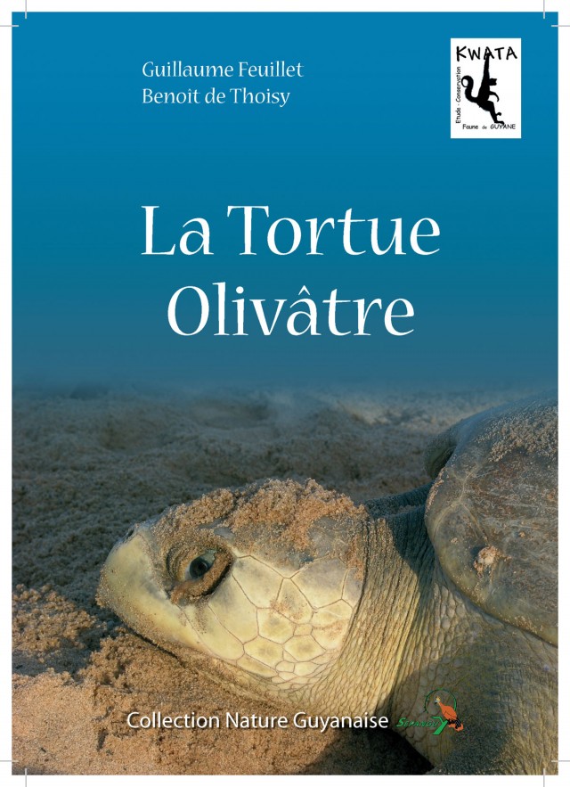 La tortue olivâtre :