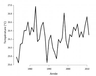Températures annuelles moyennes à Cayenne entre 1950 et 2011. Source cf. graphique de gauche sur les précipitations.