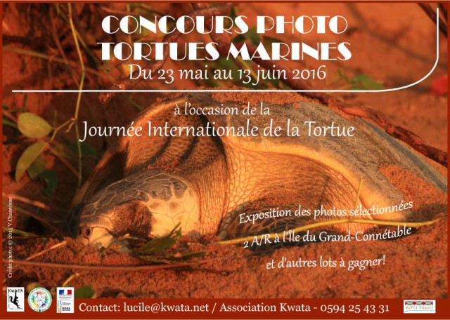 Association Kwata:Concours photo « Tortues Marines »