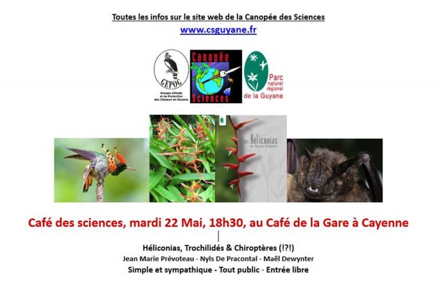 Café des sciences : Les relations entre champs fleuris, colibris et chauves souris