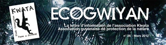 Ecogwiyan, le journal de Kwata : N°26