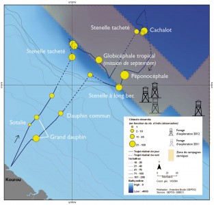 Distribution spatiale des espèces et effectifs de cétacés observés lors de la mission d’inventaire menée par le GEPOG en novembre 2011. Sources : GEPOG , GEBCO, coordonnées des forages (arrété n°722/SG/2D38 du 11 mai 2012)