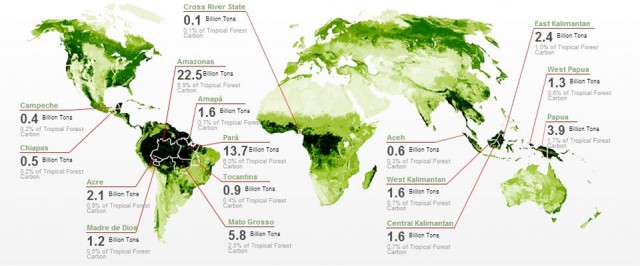 Réduire de 80% la déforestation : d'ici 2020