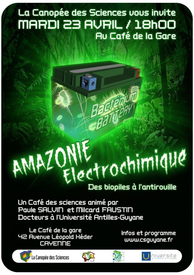 Conférence : AMAZONIE ELECTROCHIMIQUE